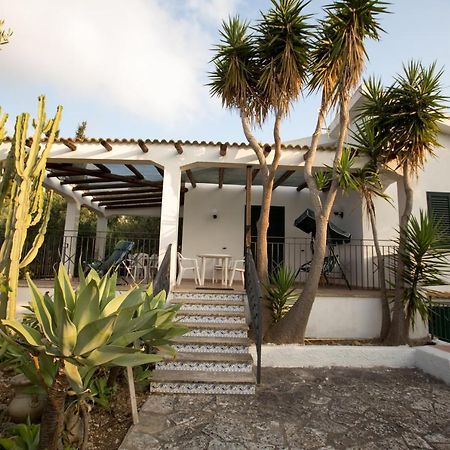 Villa Nadia Con Splendida Vista Mare 卡斯泰拉马莱 外观 照片